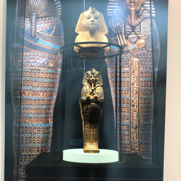 Meet your Posher, Kara - Picture 4 of 8